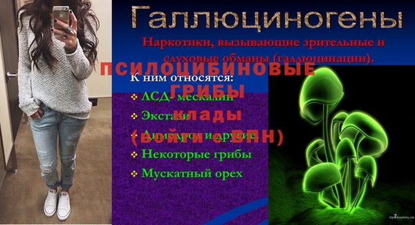 марки nbome Бородино