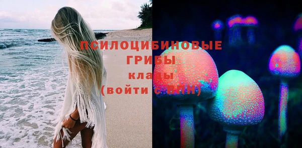 марки nbome Бородино